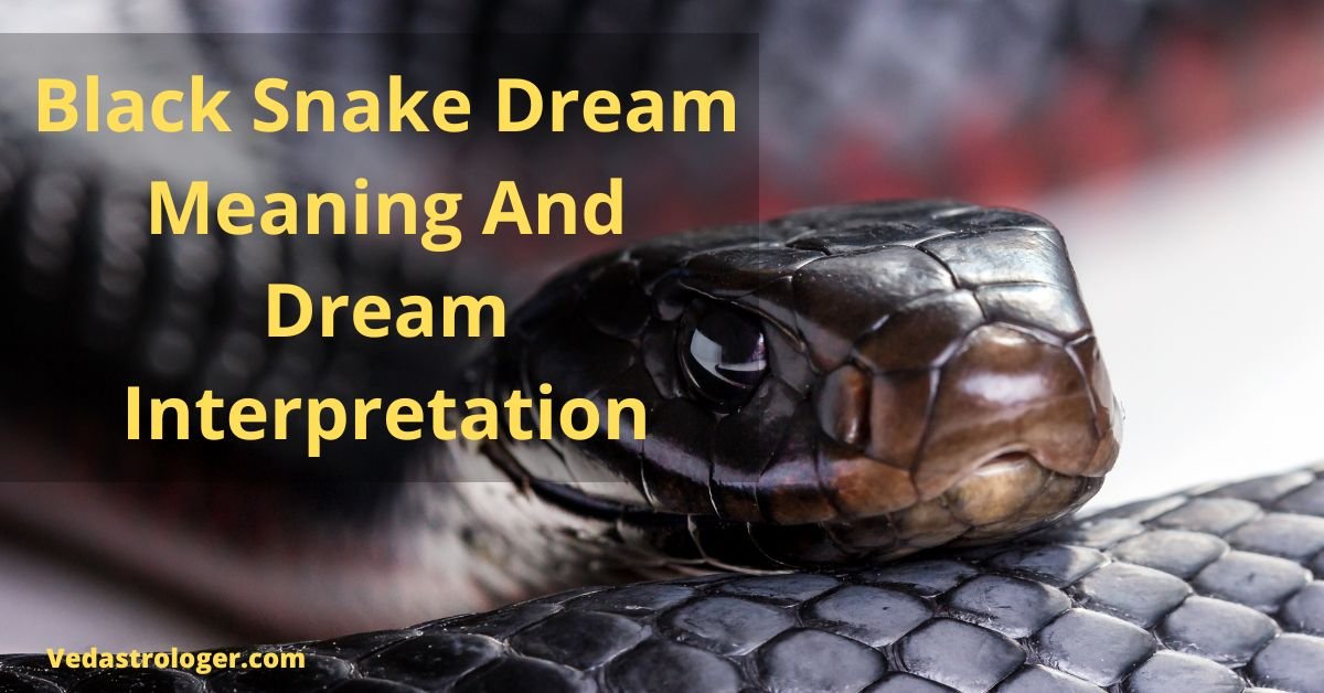 Dream of Black Snake (9 Reasons + Meaning) - Practical Psychology