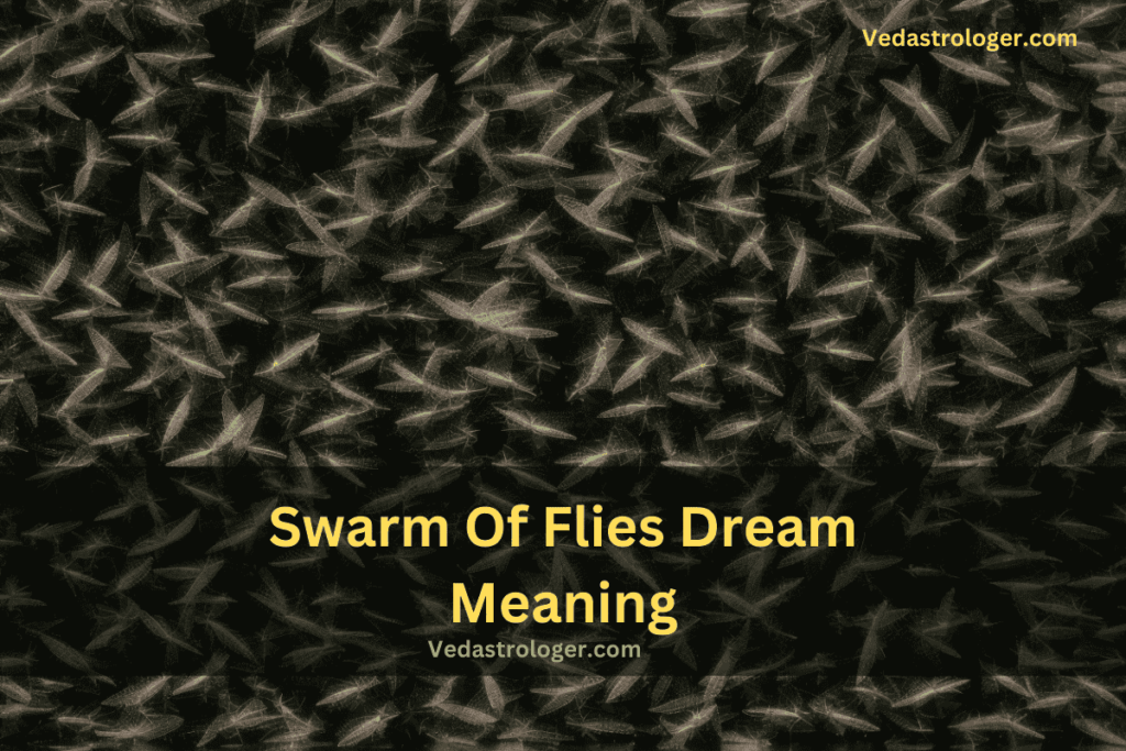 swarm of flies dream meaning