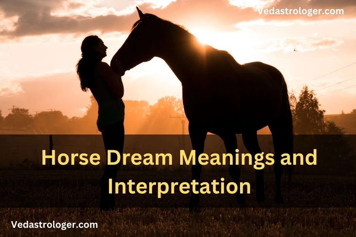 Horse Dream Meanings