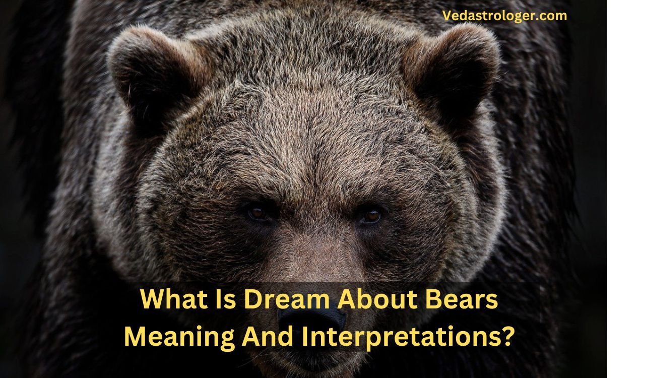 What Is Dream About Bears Meaning And Interpretations?